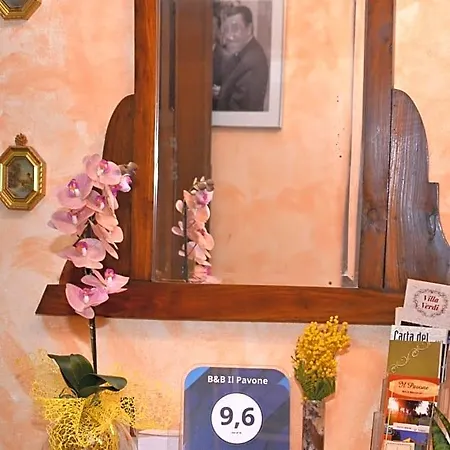 Il Pavone 3*