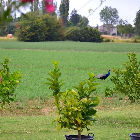 Il Pavone ベッド・アンド・ブレックファスト