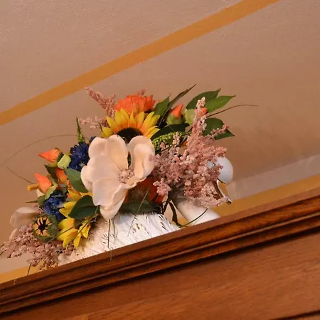 Bed & Breakfast Il Pavone Busseto