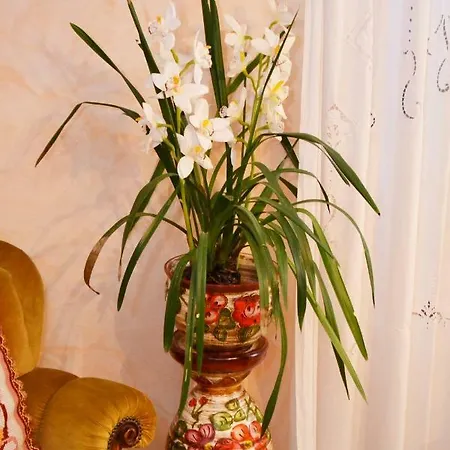 Il Pavone Alojamento de Acomodação e Pequeno-almoço Busseto