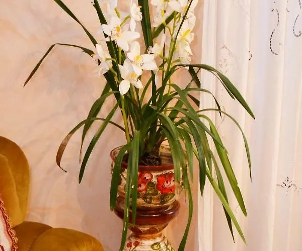 Il Pavone Bed and Breakfast Busseto