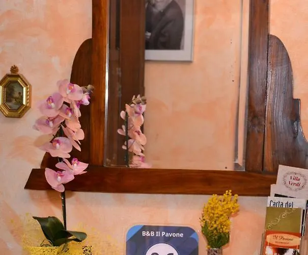 Il Pavone Bed and Breakfast Busseto